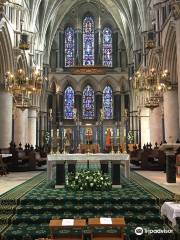 Cathédrale Saint-Jean-Baptiste de Norwich