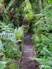 Mitchells Gully Gold Mine