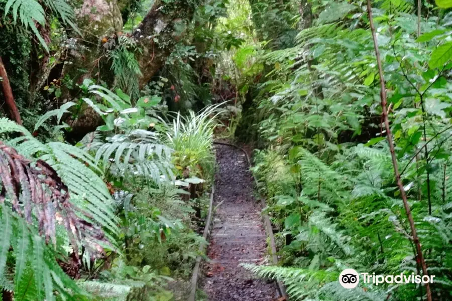 Mitchells Gully Gold Mine