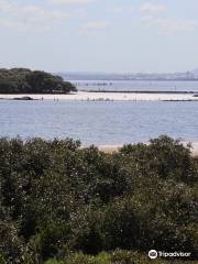 Towra Point Nature Reserve