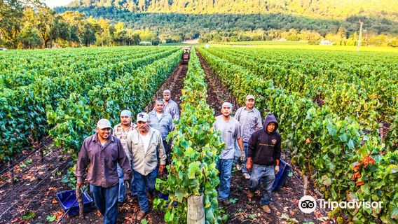 Napa County