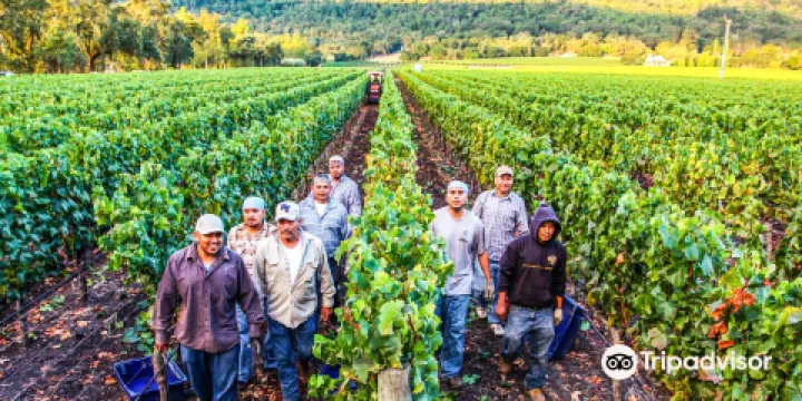 Staglin Family Vineyard