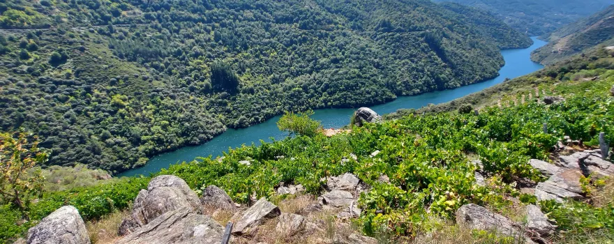 Mirador de Soutochao