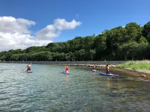 Sønderborg Lystbådehavn