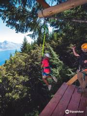 Ziptrek Ecotours生態高空滑索