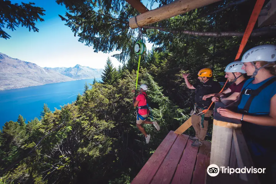 Ziptrek Ecotours