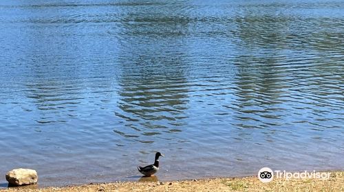 Lake Tabeaud Picnic Area