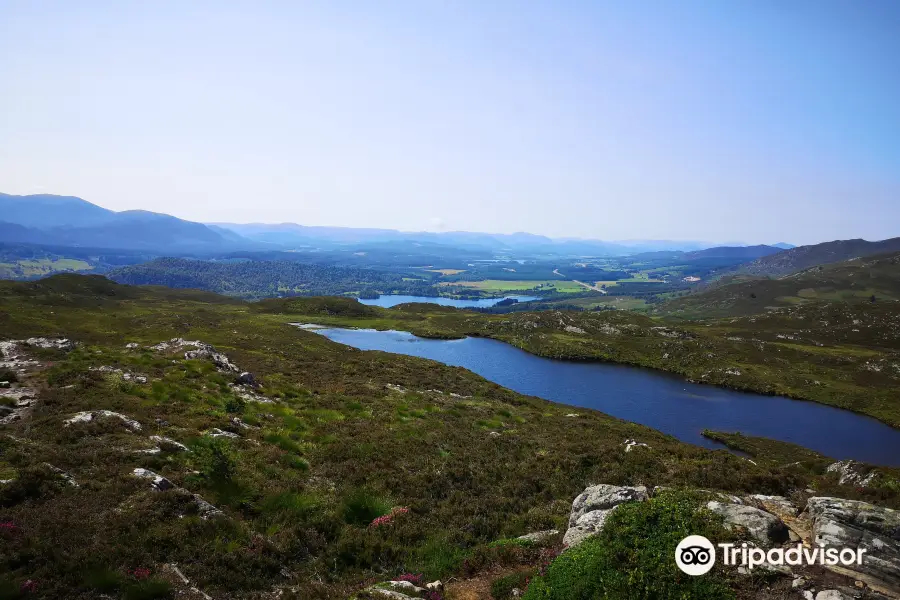 Craigellachie National Nature Reserve (Entrance)