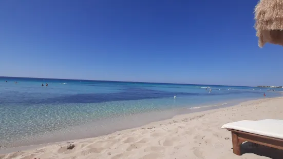 Spiaggia di Punta Prosciuto