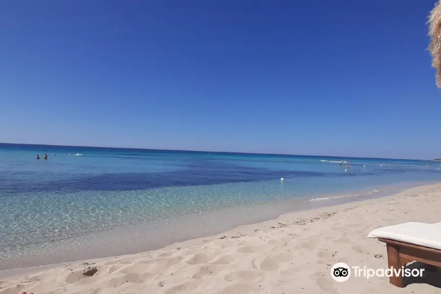 Spiaggia di Punta Prosciuto