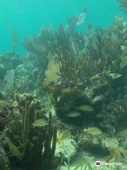 Zona de Snorkel Mahahual