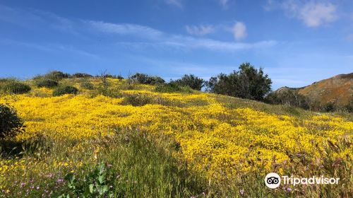 Walker Canyon Trailhead