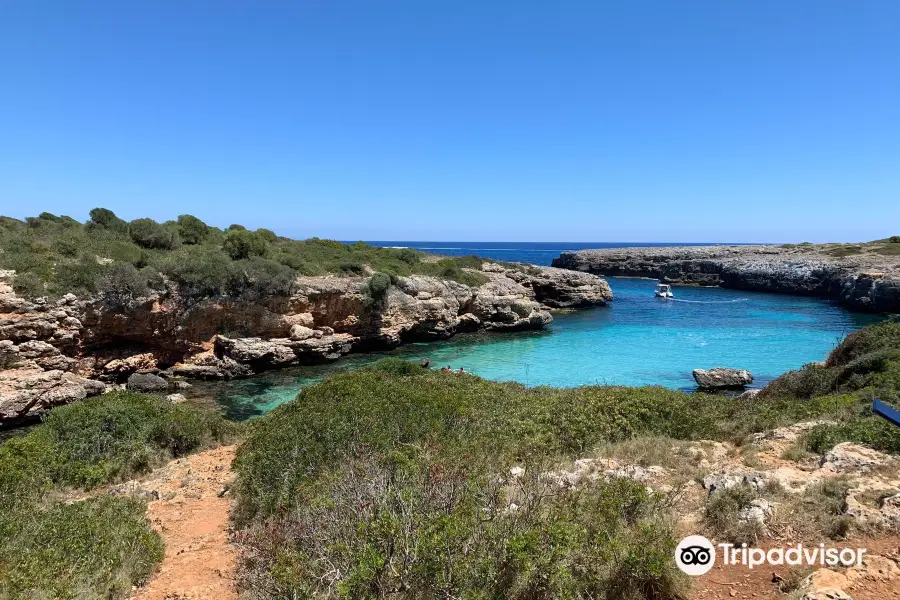 Cala Petita