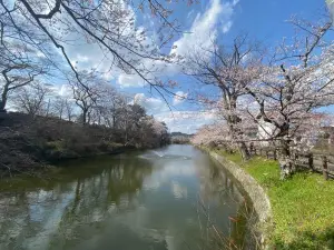 Kamegajo Park