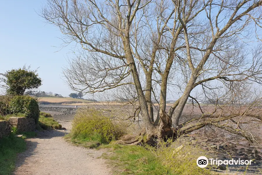 Island Hill & North Strangford Nature Reserve