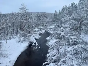 Great Northern Train Ride