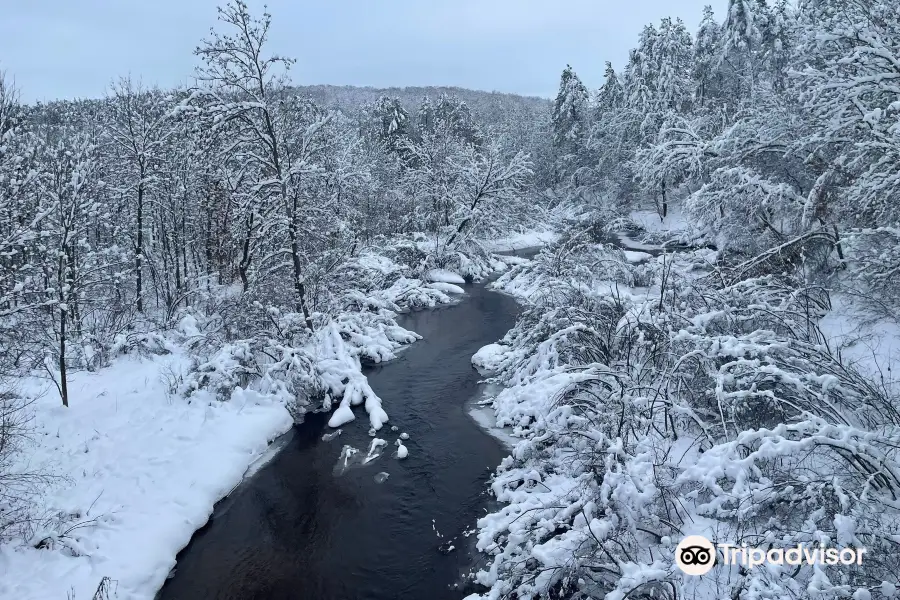 Great Northern Train Ride