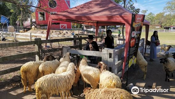 Khao Yai Farm Village