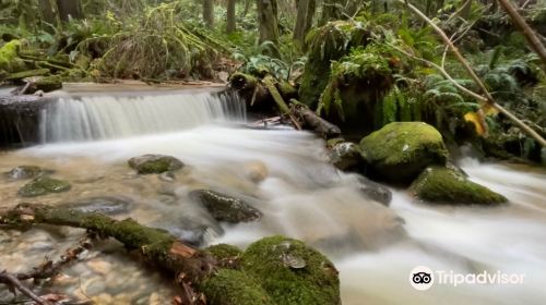 Burnett Falls Park