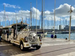 The Little Trains of Toulon