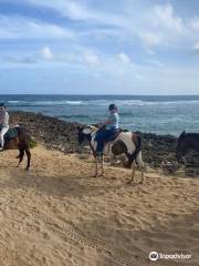 Turtle Bay Resort Horse Riding