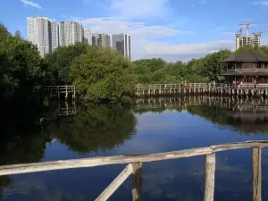 Taman Wisata Alam Mangrove Angke Kapuk