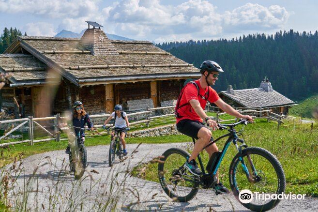 Télé-Villars-Gryon-Diablerets SA