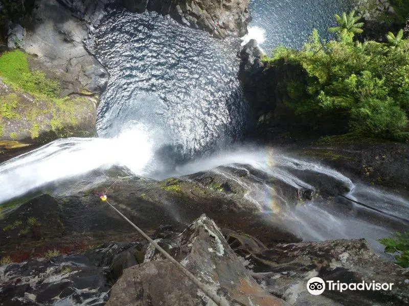 Envergure Réunion