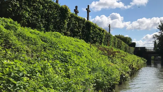 Marais de l'Audomarois