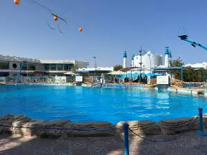 Dolphin World Egypt