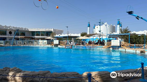 Dolphin World Egypt
