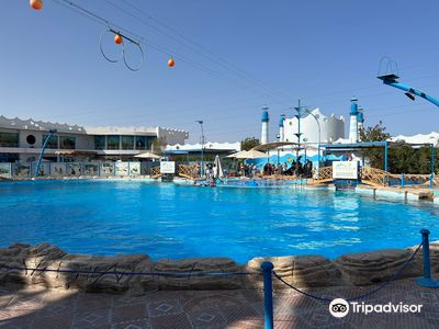 Dolphin World Egypt