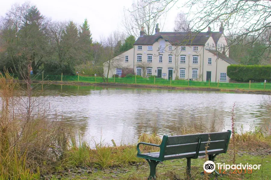 Madeley fishing pool