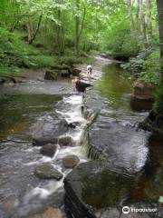 Deepdale Nature Reserve