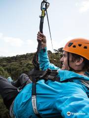 Coromandel Zipline Tours