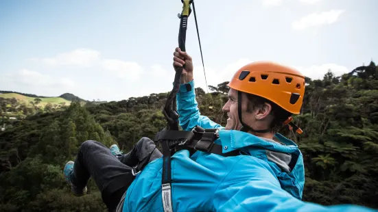 Coromandel Zipline Tours