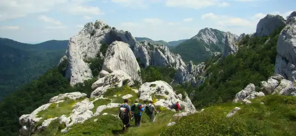 Hotels in Opcina Karlobag