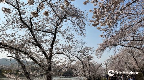 보문호(Bomunho Lake)