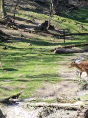 Bratislava Zoo