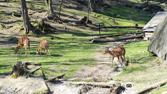 Zoo Bratislava