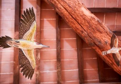 La Fabbrica della Natura