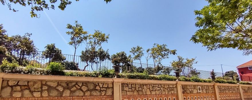 Fuente de los 50 canos