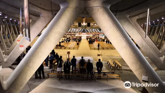 성 비오 10세 대성당