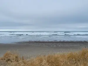 Twin Harbors State Park