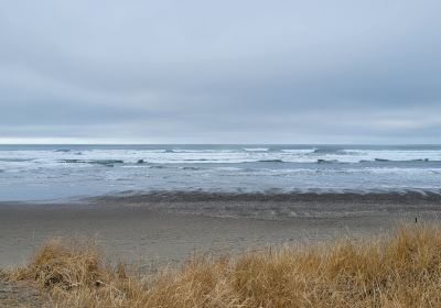 Twin Harbors State Park