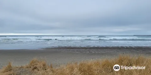 Twin Harbors Beach State Park