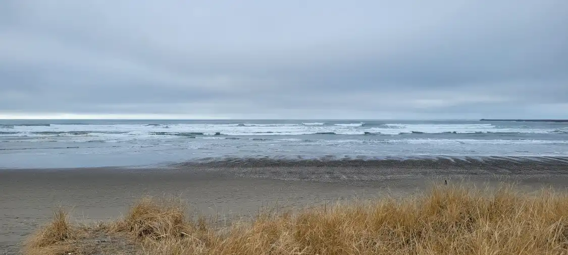 Twin Harbors Beach State Park附近的飯店
