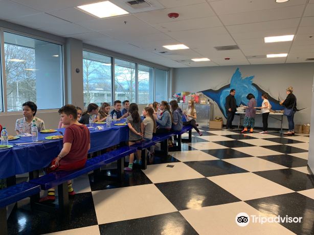 Sky Zone Trampoline Park