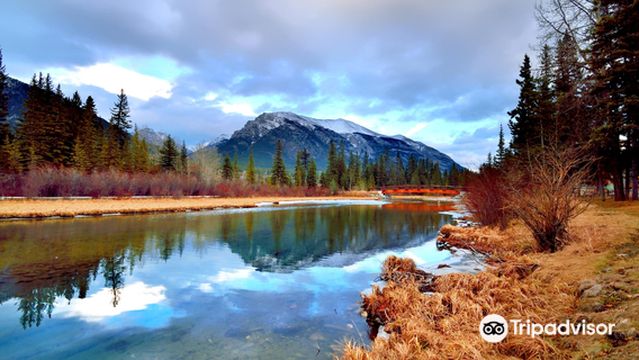 Policeman's Creek Boardwalk