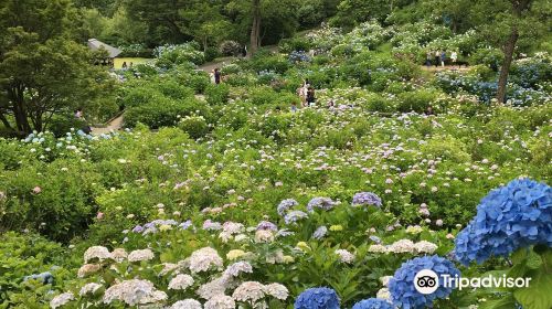 Maizuru Nature and Cultural Park